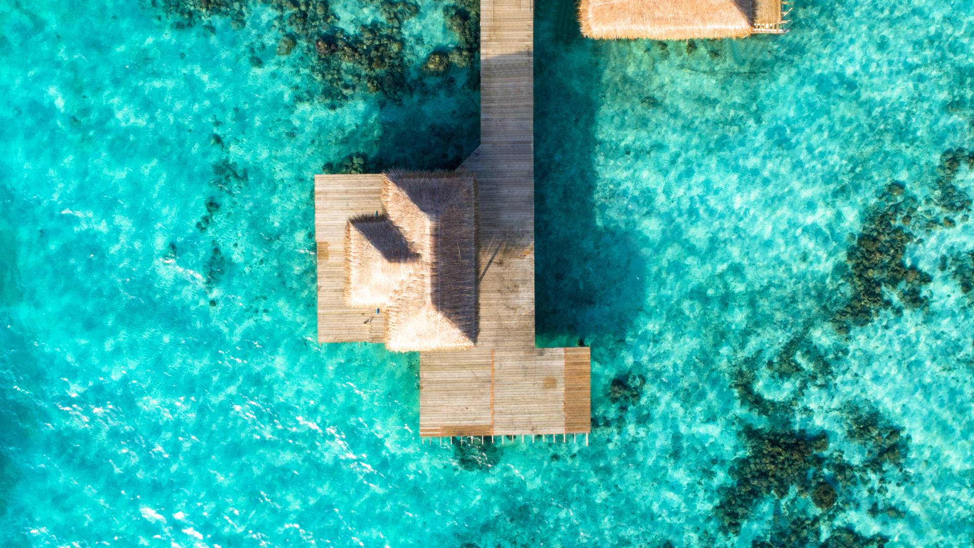Isole e atolli