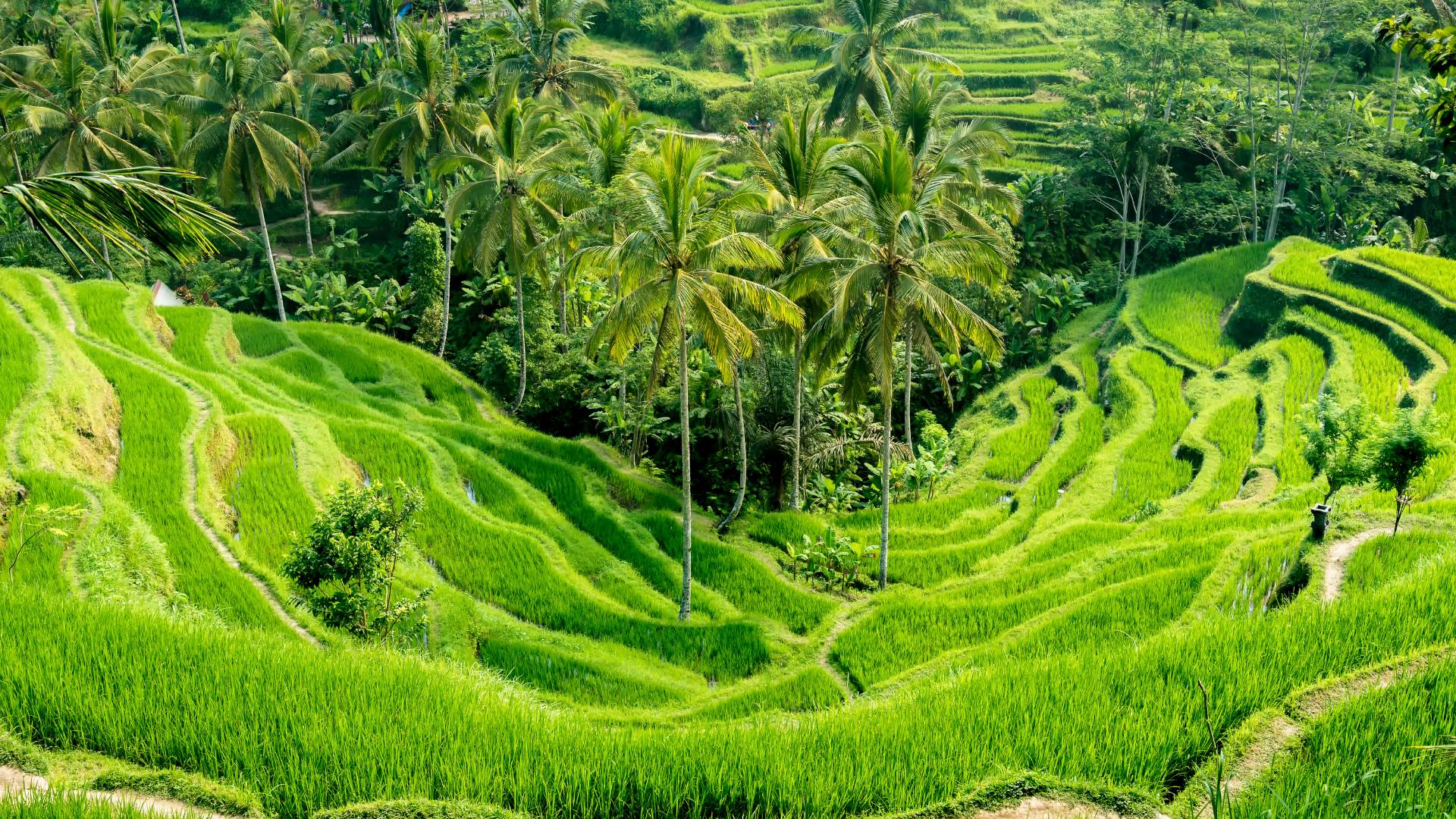Australia, Bali e Lombok