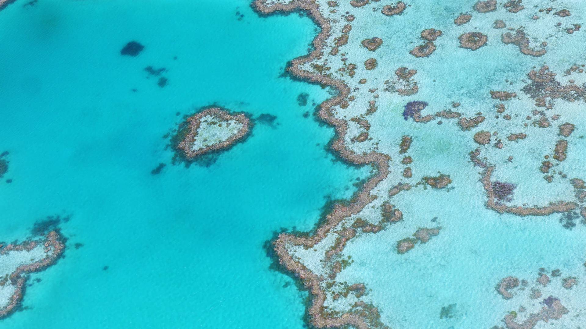 Sogno australiano