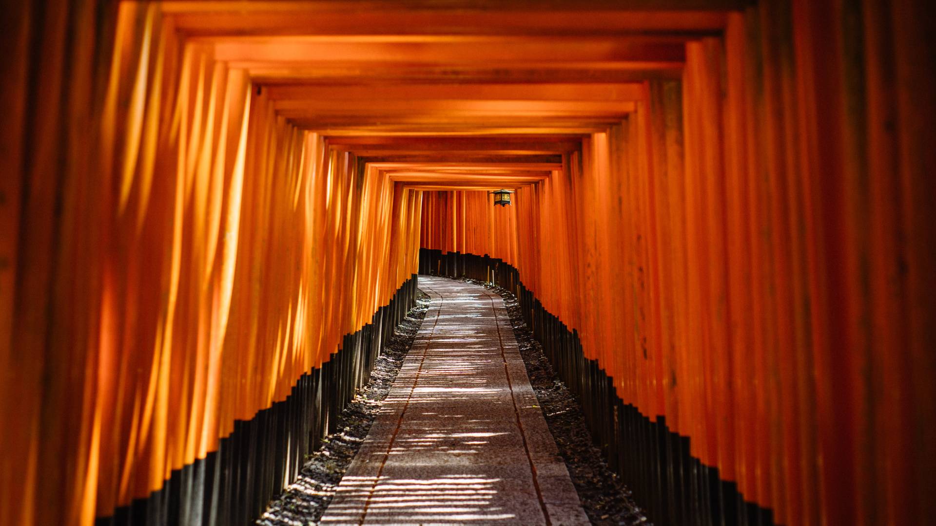 Discover Japan