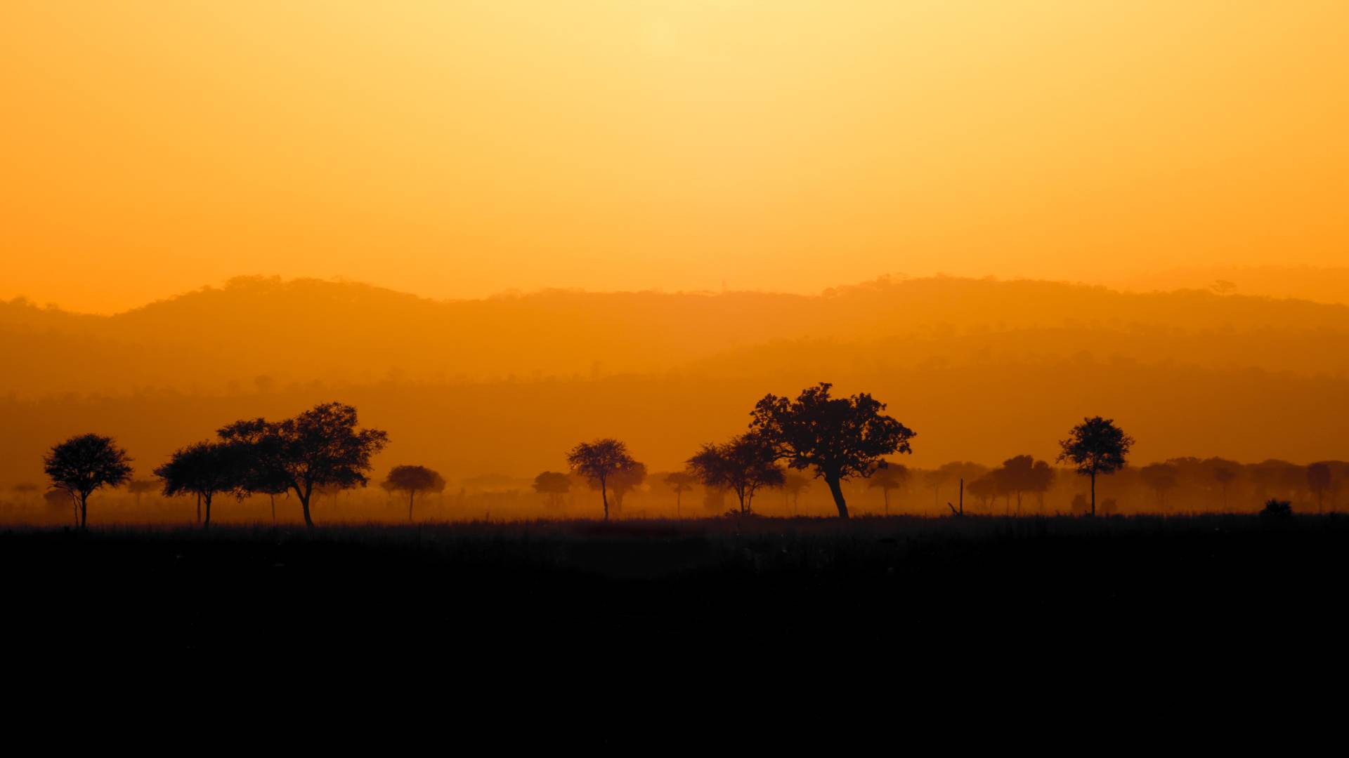 Tanzania Etnie, Laghi e Savane