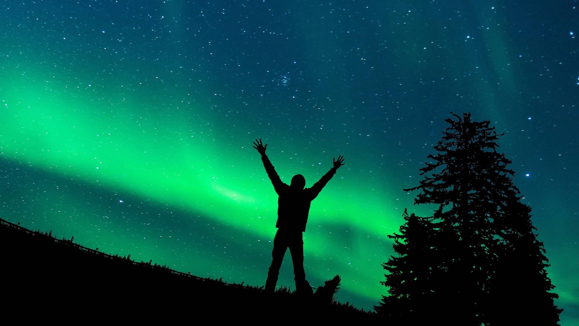 Crociera in Alaska: fiordi della grande terra