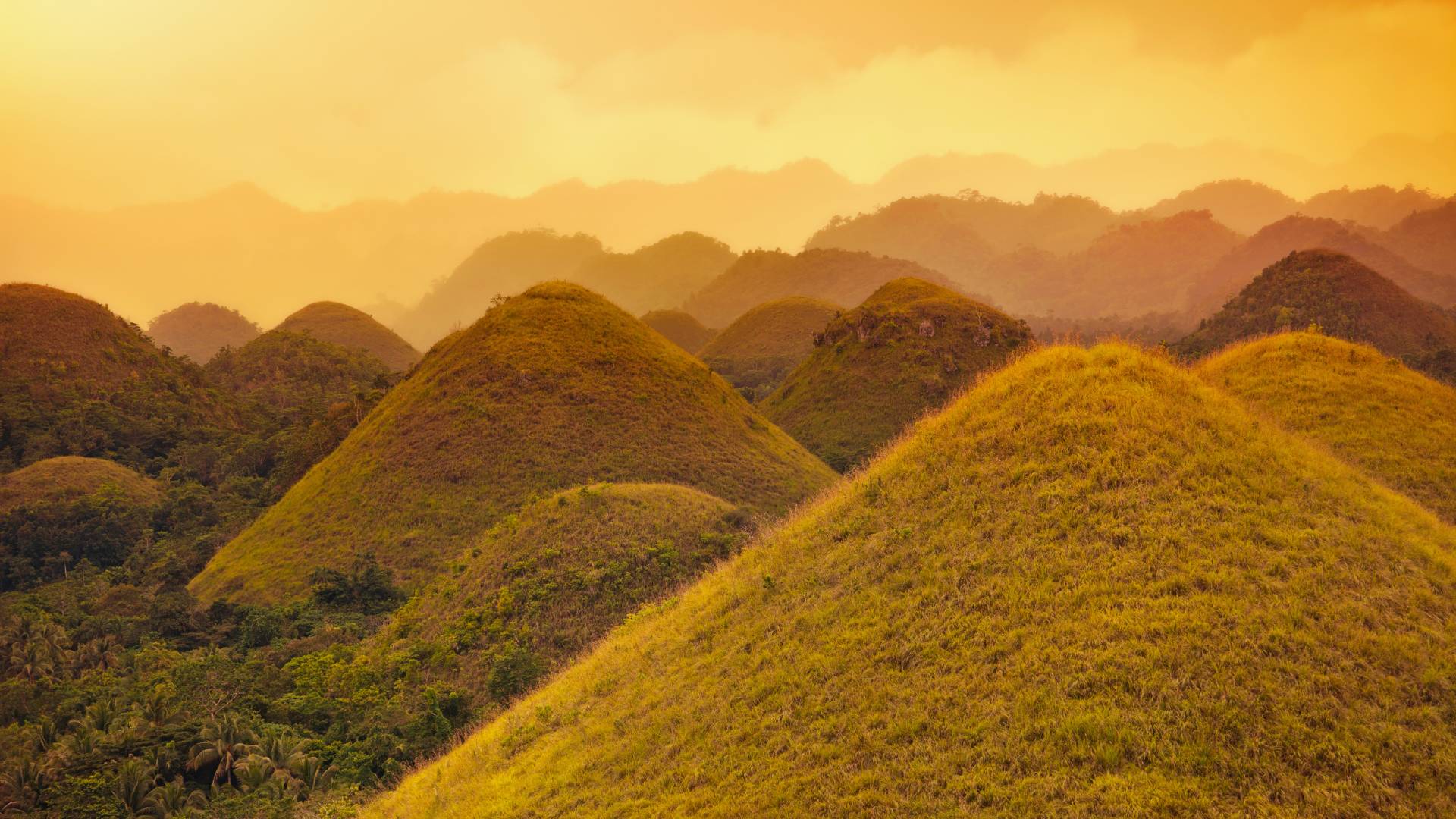 Banaue Rice Terraces