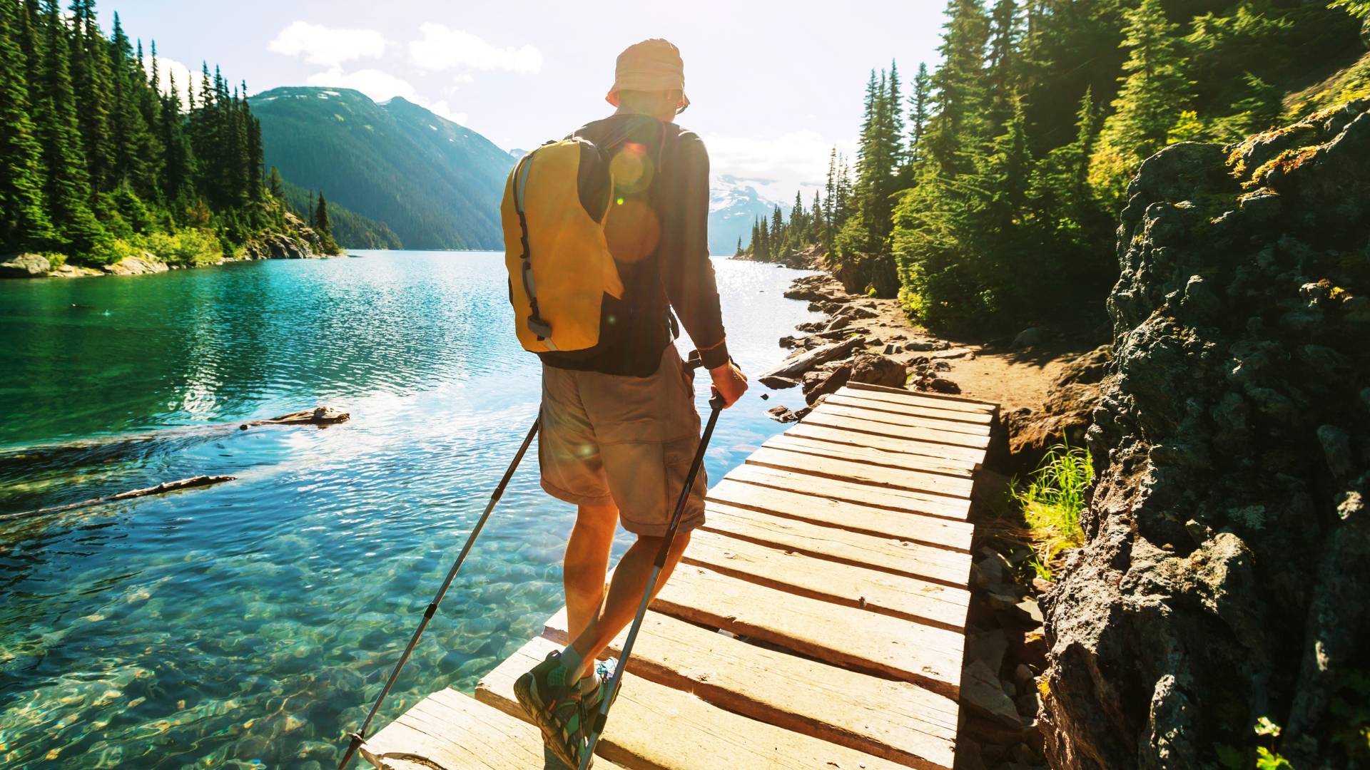 La natura del Canada: tra parchi, orsi e balene