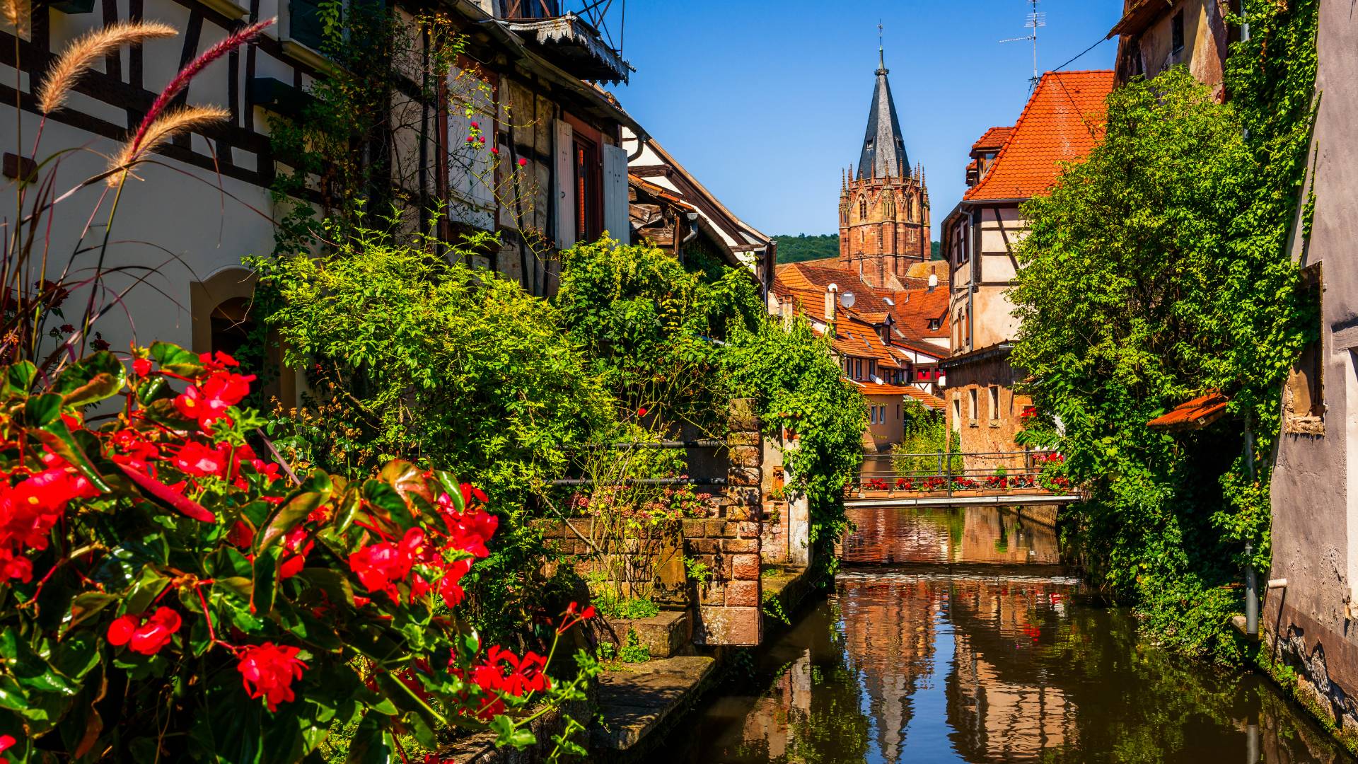 Alsazia, Lorena e Foresta Nera