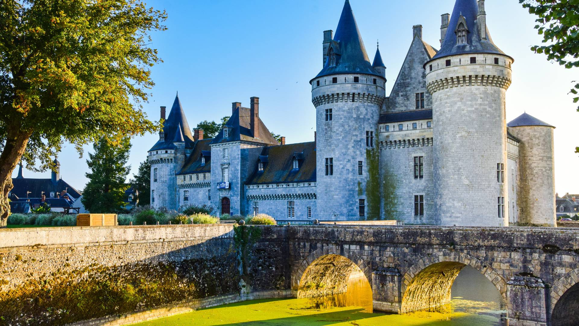 Castelli della Loira e Cattedrali di Francia