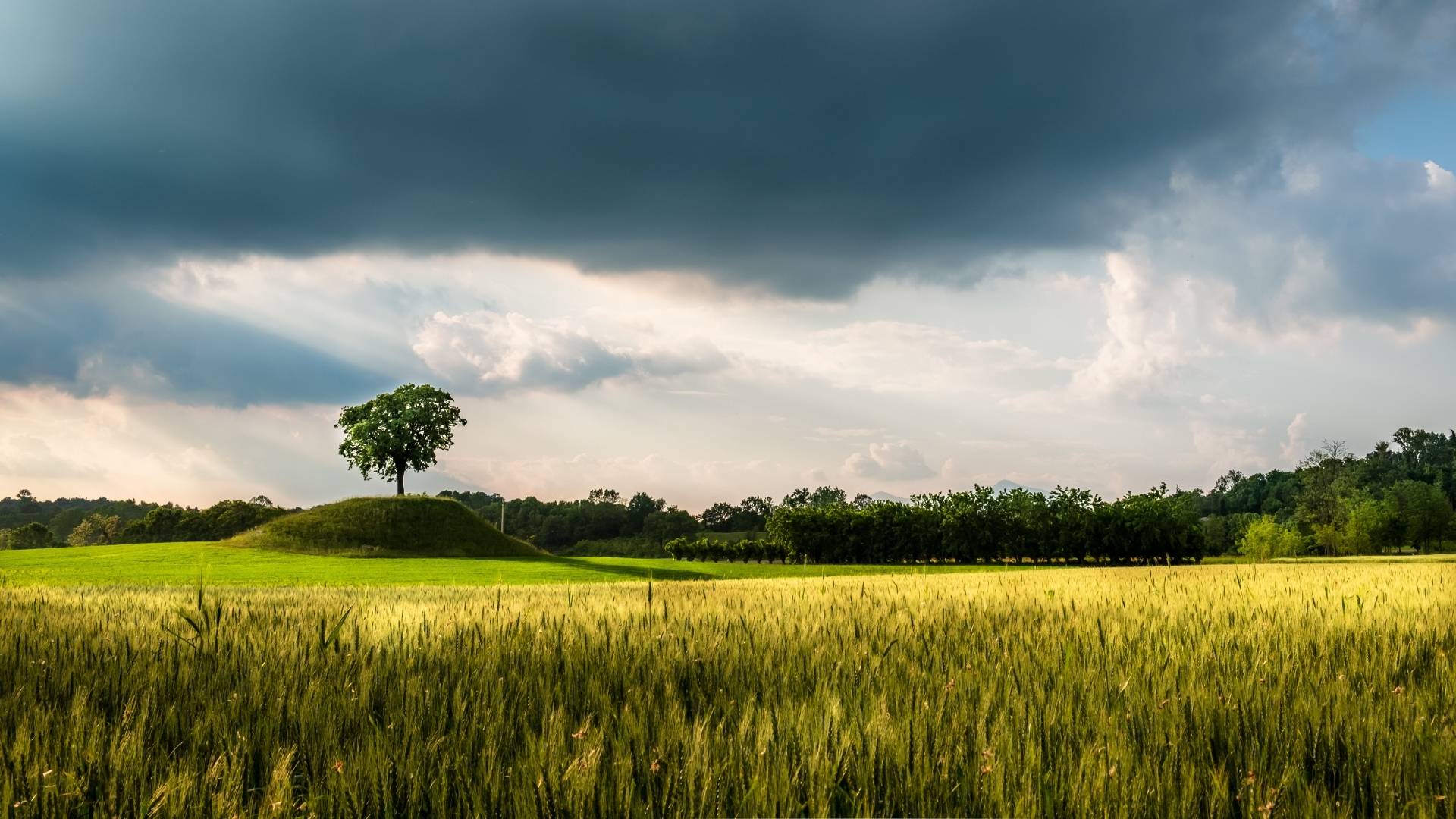 Friuli Venezia Giulia
