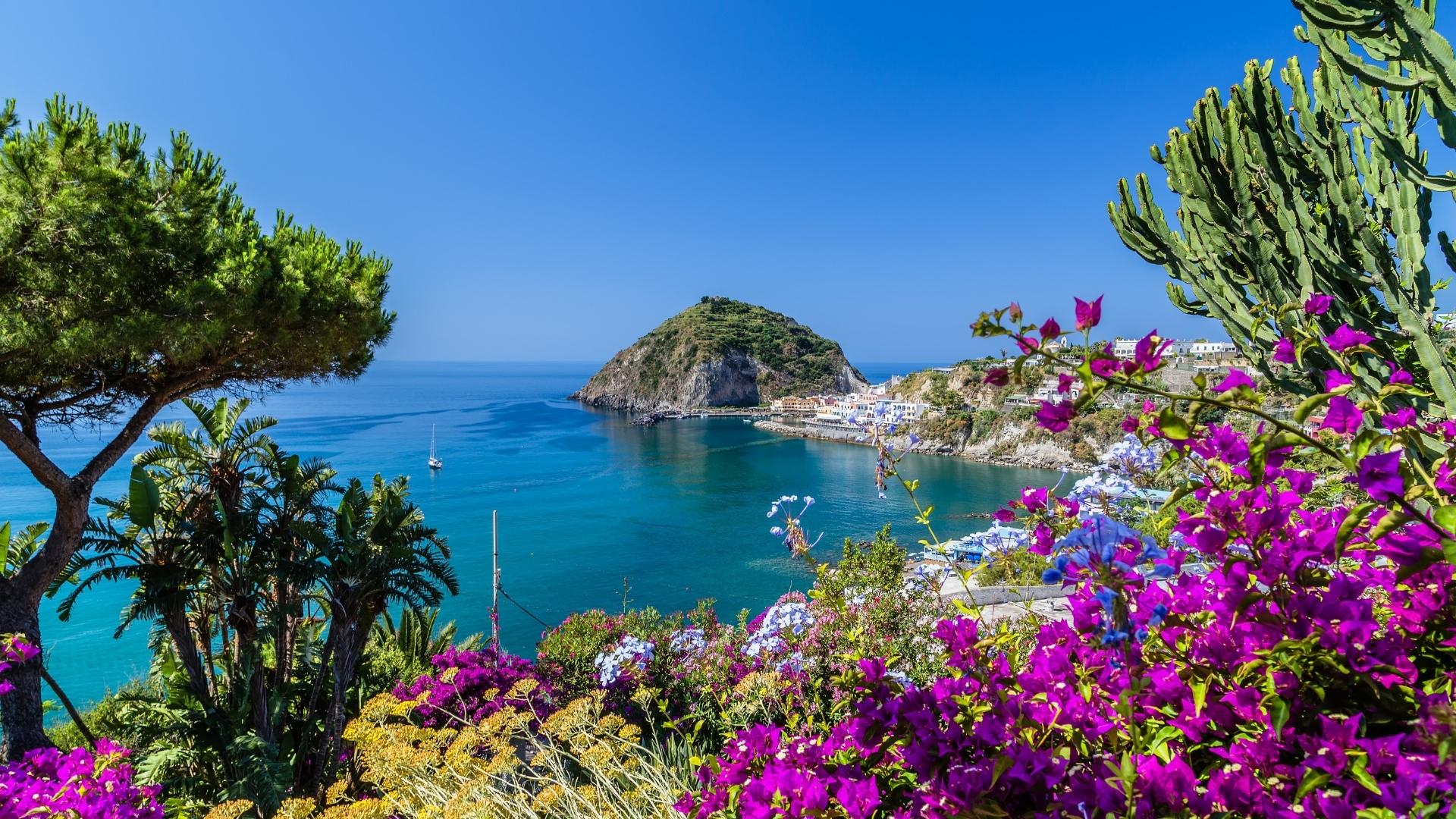 Ischia e le Isole del sole