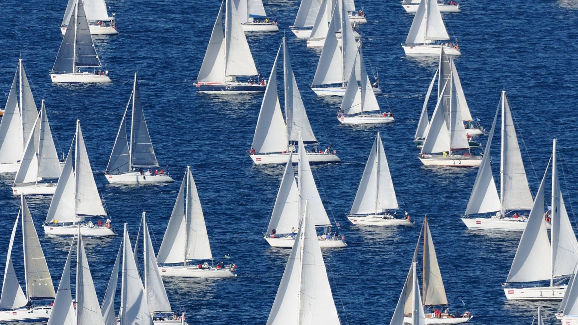 Udine, Trieste e la Barcolana
