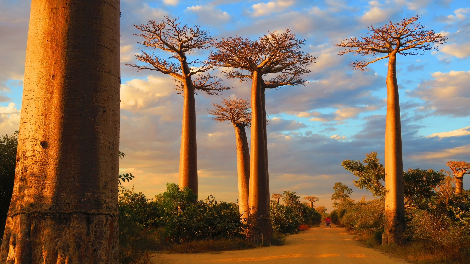Il mosaico del Madagascar