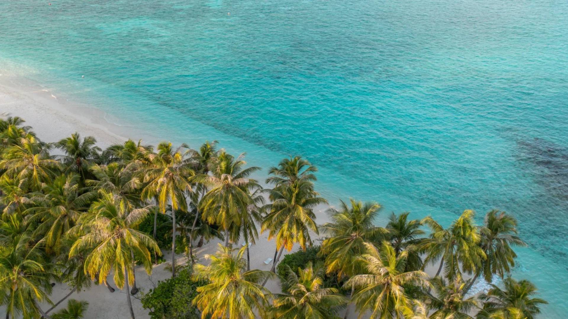 Bravoclub Premium Alimatha maldive