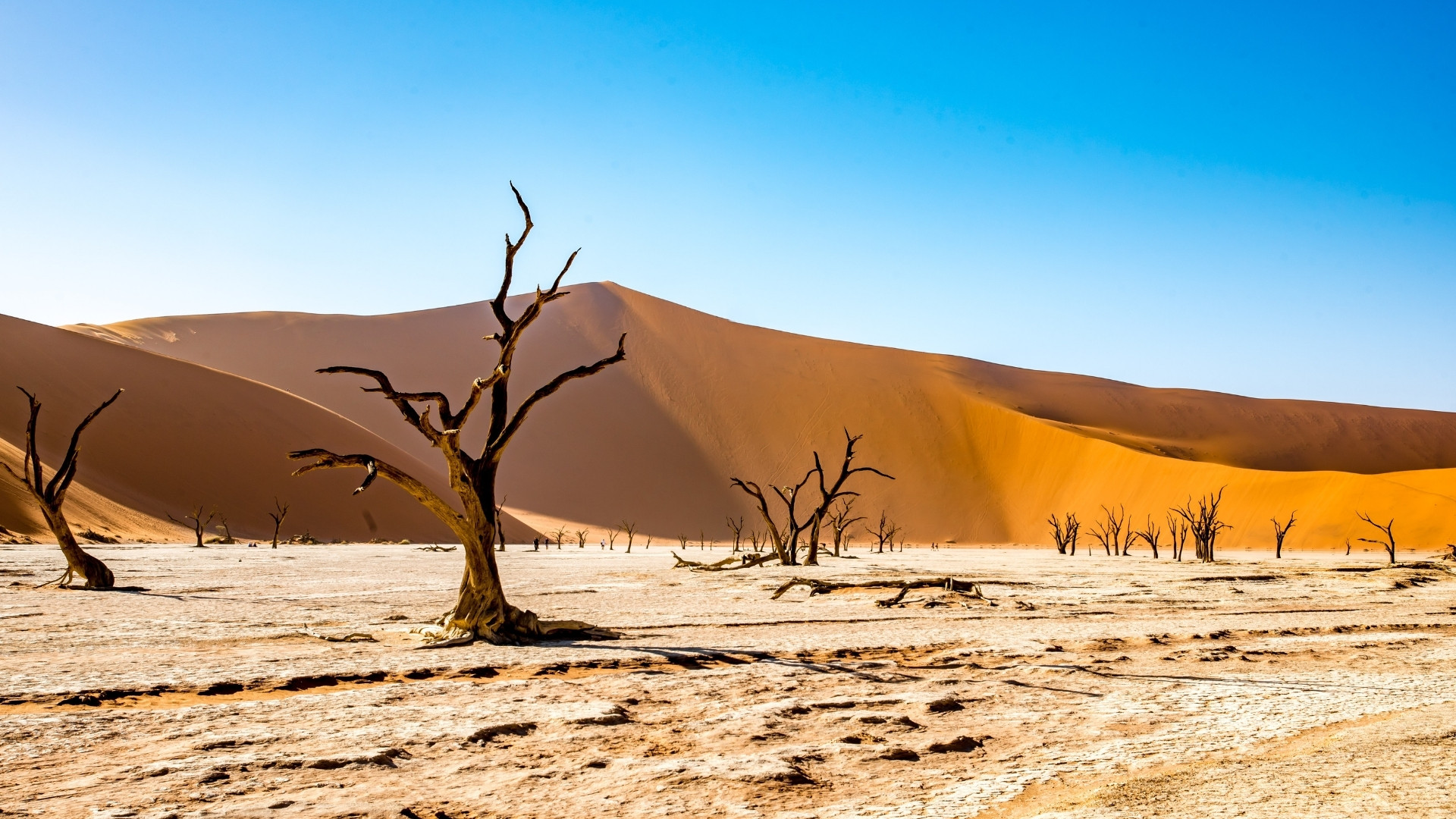 Namibia
