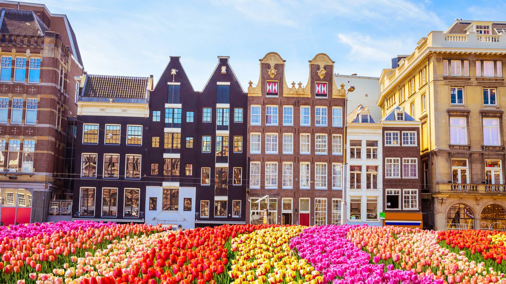 Amsterdam, Fiandre e Reno