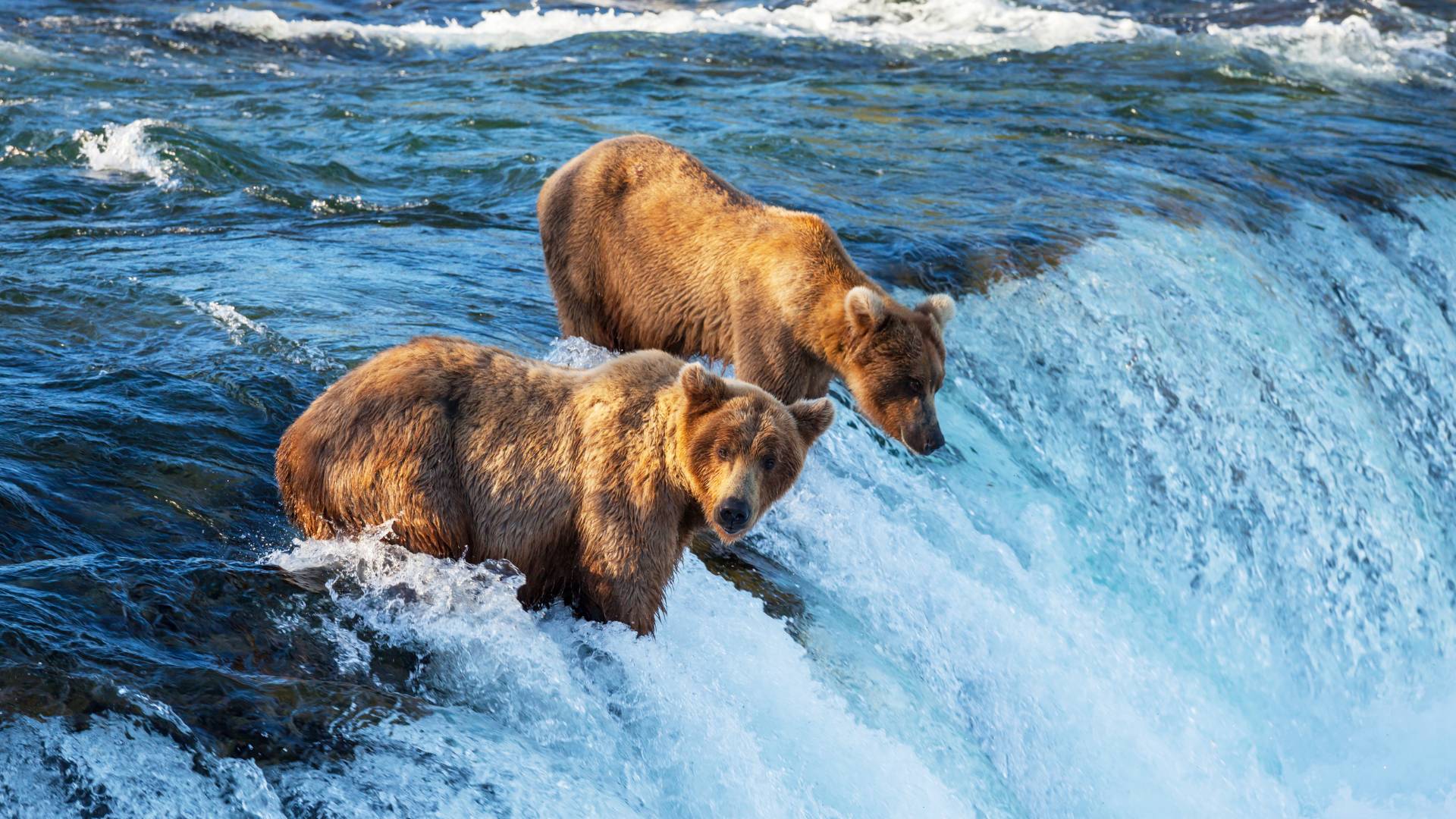 Alaska