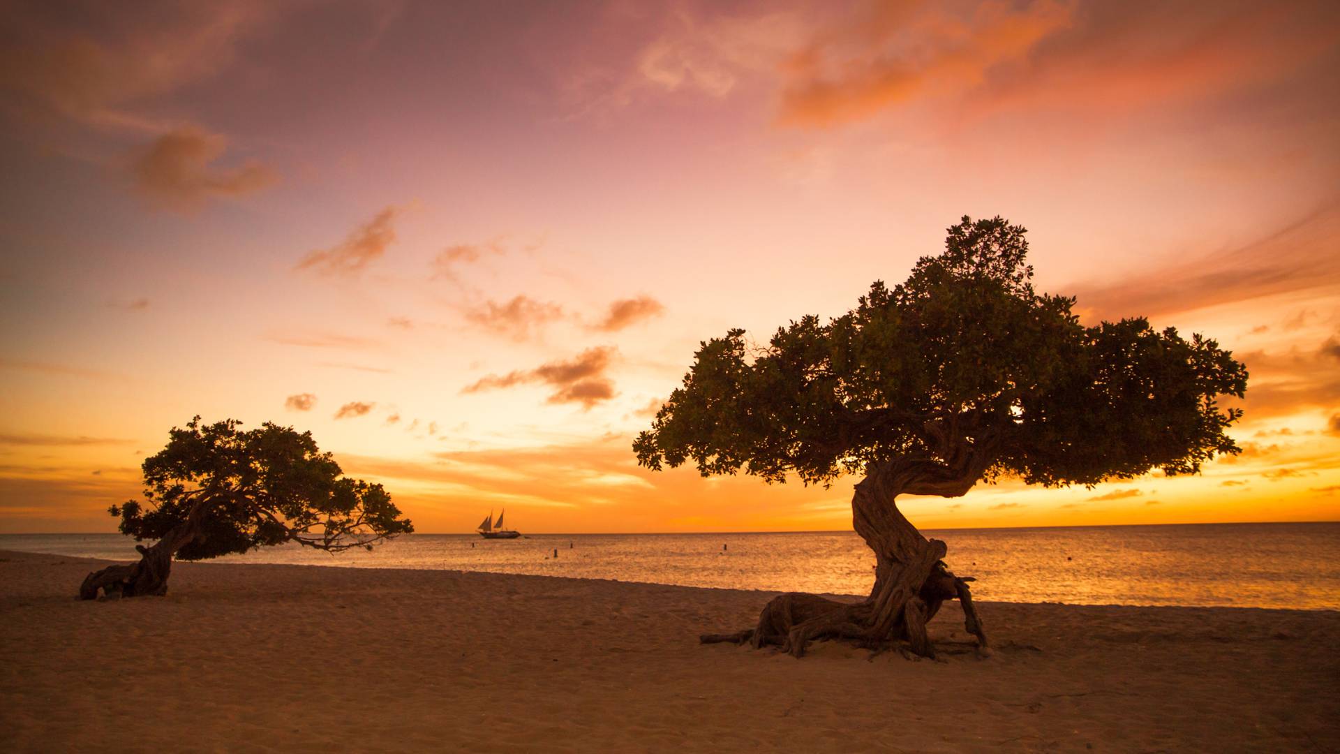 Aruba